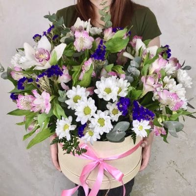  Композиция 279
