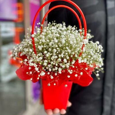 Гипсофила 5 шт в сумочке