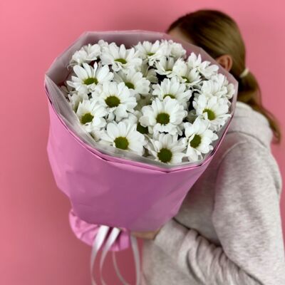 Белые ромашки 