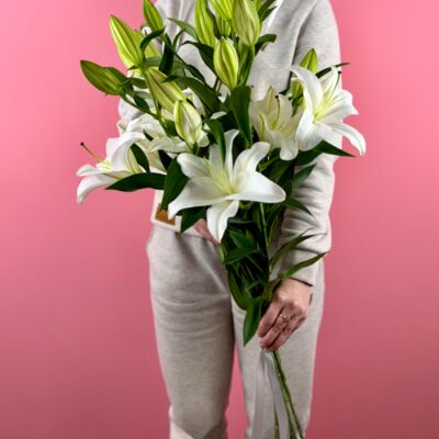 Белые Лилии (5шт)