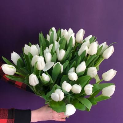 Picco White