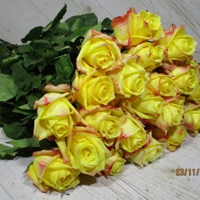 Букет из 25 роз Mohana