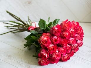 Роза  Игуана. Эквадор
