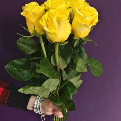 Роза  Брайтон.Эквадор