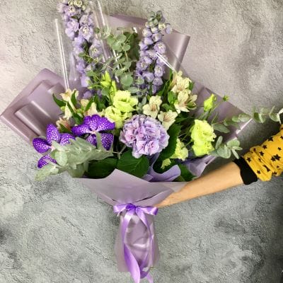 Вдохновения 